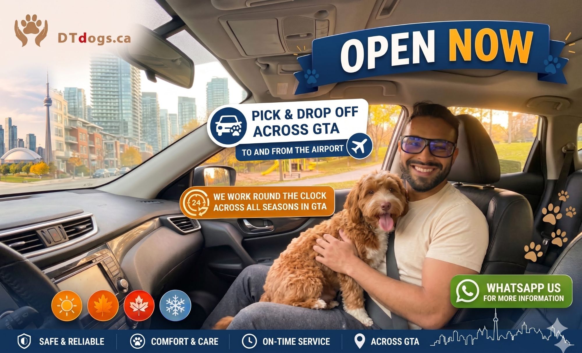Dog safely seated for a premium pet chauffeur ride